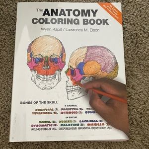 Anatomy coloring book